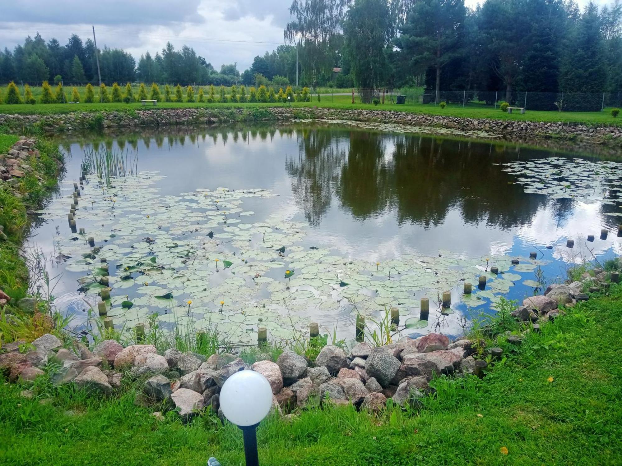 Domki Nad Stawem Стеґна Екстер'єр фото